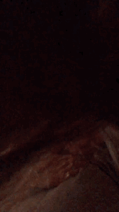 Image Caption: Lindsay doing a hair flip, like a Goddess with eyelash swag.