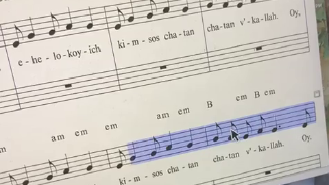 vlcsnap-2021-03-28-04h04m04s533-yt-cropped